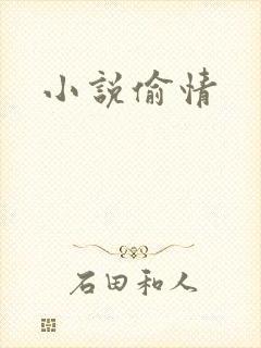 小说偷情