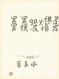 男男gay裸体男模夜场舞男封面