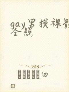 gay男模裸体全照