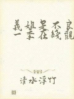 义姐是不良妈第一季在线观看免费中文版