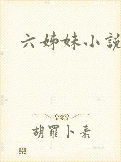 六姊妹小说