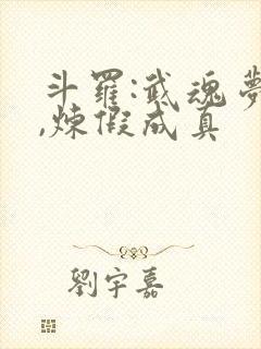 斗罗:武魂梦蝶,炼假成真