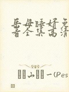 岳母睡婿免费观看全集高清电视剧