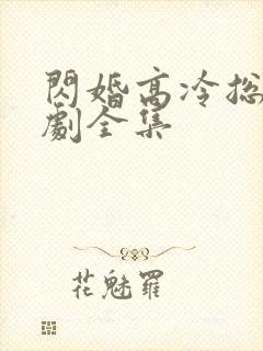 闪婚高冷总裁短剧全集