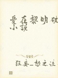 爱在黎明破晓前小说