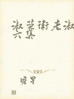 淑荣卫老淑荣第六集封面