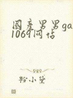 国产男男gay1069网站