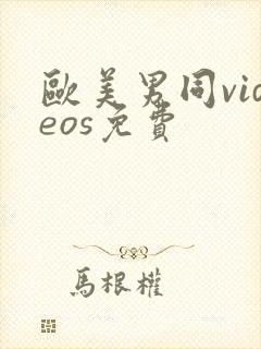 欧美男同videos免费