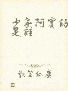 少年阿宾的作者是谁封面