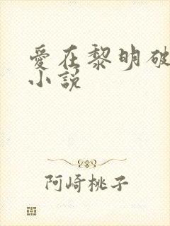 爱在黎明破晓前小说