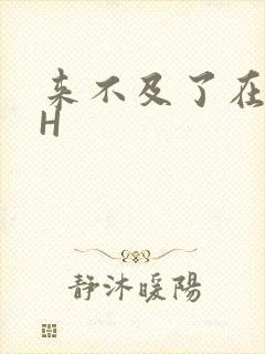 来不及了在车CH