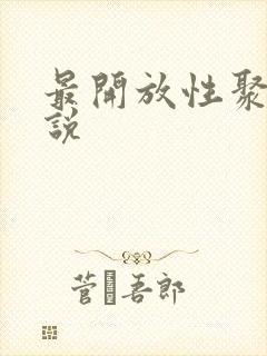 最开放性聚会小说