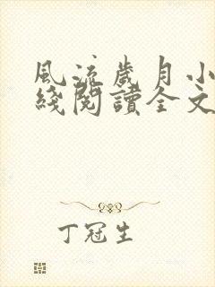 风流岁月小说在线阅读全文无弹窗封面