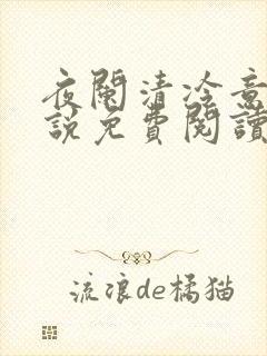 夜阑清冷意欢小说免费阅读封面
