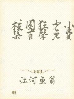 校园狂少小说全集有声免费听