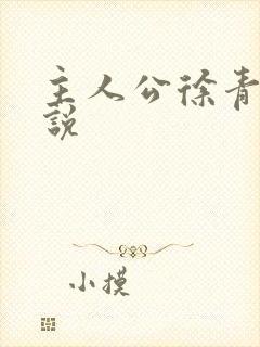 主人公徐青的小说