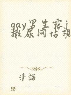 gay男生露j撒尿网站视频封面