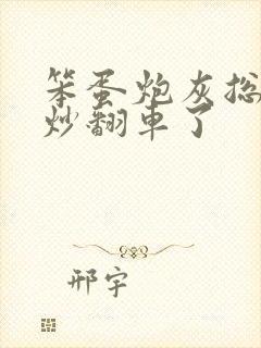 笨蛋炮灰总被爆炒翻车了封面