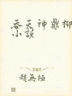 吞天神鼎柳无邪小说封面