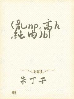 (乱np,高h,纯肉)bl