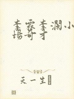 李霖李澜小说官场奇才封面