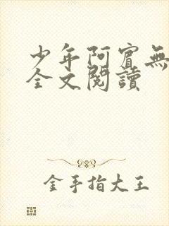 少年阿宾无删减全文阅读