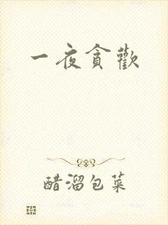 一夜贪欢