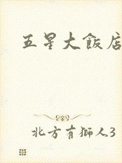 五星大饭店小说封面
