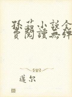 孙茹小说全文免费阅读无弹窗