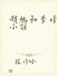 赵旭和李晴晴的小说