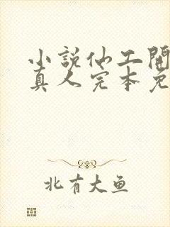 小说仙工开物蛊真人完本免费阅读