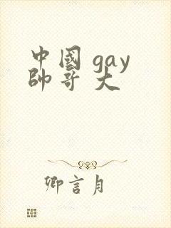 中国 gay 帅哥 大