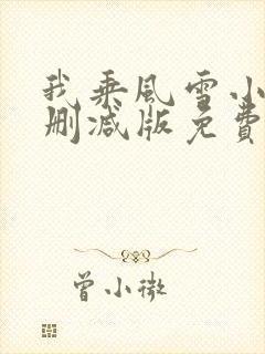 我乘风雪小说无删减版免费阅读封面