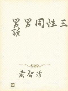 男男同性三级小说
