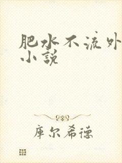 肥水不流外人田小说