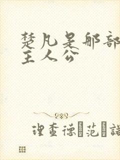 楚凡是那部小说主人公