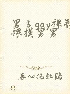 男♂gay裸体裸模男男