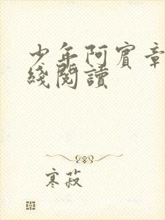 少年阿宾章节在线阅读