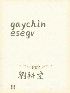 gaychinesegv