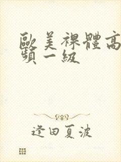 欧美裸体高清视频一级