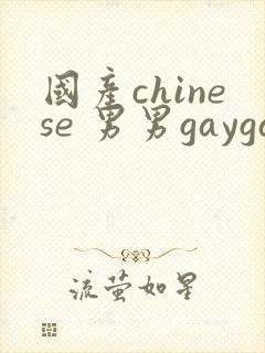 国产chinese 男男gaygay
