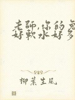 老师,你的兔子好软水好多