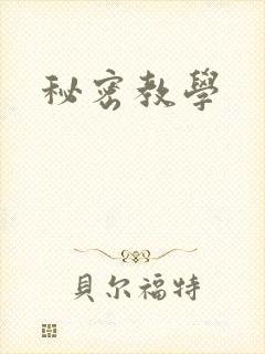 秘密教学