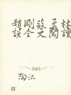 赵刚苏柔林风小说全文阅读封面