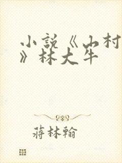 小说《山村情事》林大牛封面