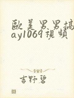 欧美男男搞基gay1069视频