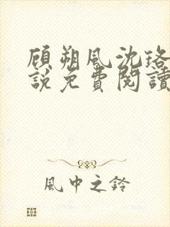 顾朔风沈珞舒小说免费阅读最新章节封面