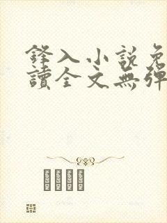 锋入小说免费阅读全文无弹窗