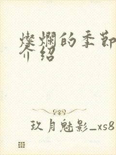 灿烂的季节剧情介绍