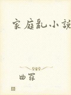 家庭乱小说